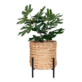 House Nordic House Nordic Antas Planter