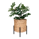 House Nordic House Nordic Antas Planter