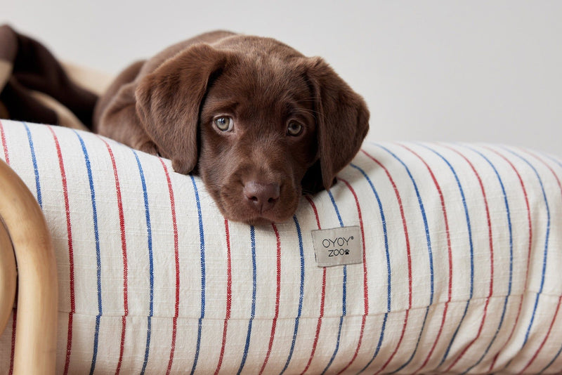 OYOY ZOO OYOY ZOO Kyoto Dog Cushion - Small