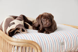 OYOY ZOO OYOY ZOO Otto Dog Bed - Medium