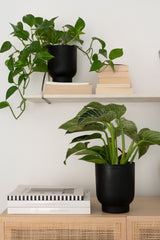 LaLe Living Blumentopf LaLe Living Blumentopf 2er Set Ayaz in Schwarz, Ø13/15 cm