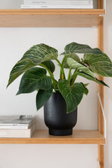 LaLe Living Blumentopf LaLe Living Blumentopf 2er Set Ayaz in Schwarz, Ø13/15 cm