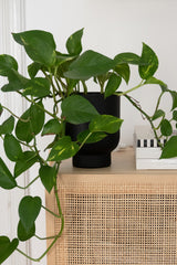 LaLe Living Blumentopf LaLe Living Blumentopf 2er Set Ayaz in Schwarz, Ø13/15 cm