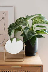 LaLe Living Blumentopf LaLe Living Blumentopf 2er Set Ayaz in Schwarz, Ø13/15 cm