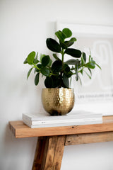 LaLe Living Blumentopf LaLe Living Blumentopf Baha in Gold, Ø13,5 cm