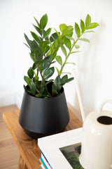 LaLe Living Blumentopf LaLe Living Blumentopf Timur aus Eisen in Schwarz, Ø22 cm