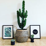 LaLe Living Bild Leinwanddruck Bonjour Schriftzug