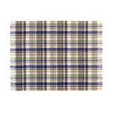ROHLEDER HOME COLLECTION Cosy Plaid - Water, 150 x 200 cm