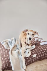 OYOY ZOO OYOY ZOO Kaya Dog Blanket - Medium