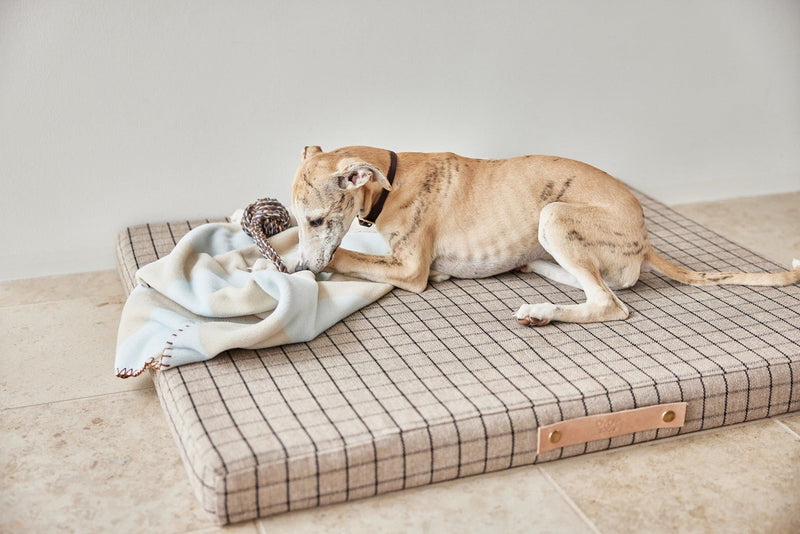 OYOY ZOO OYOY ZOO Kaya Dog Blanket - Medium