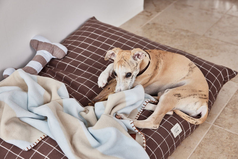 OYOY ZOO OYOY ZOO Kaya Dog Blanket - Medium