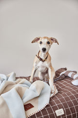 OYOY ZOO OYOY ZOO Kaya Dog Blanket - Medium
