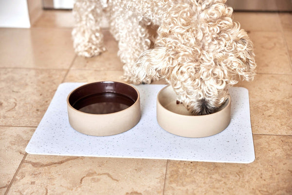 OYOY ZOO OYOY ZOO Sia Dog Bowl - Medium - 820ml