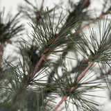 House Doctor House Doctor Weihnachtsbaum, Pin, Natur