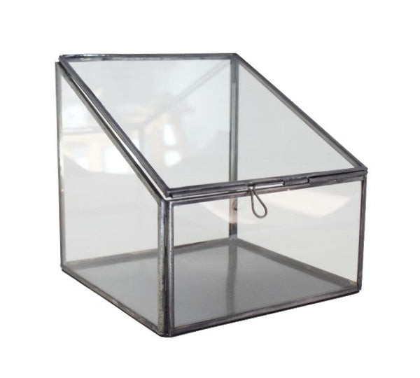 LaLe Living Gewächshaus LaLe Living Gewächshaus Liyah aus Glas in Schwarz, L:16cm