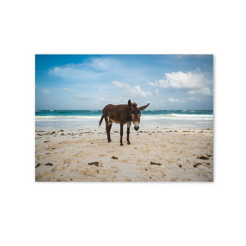 LaLe Living Bild Leinwanddruck Esel am Strand A4 21x30cm