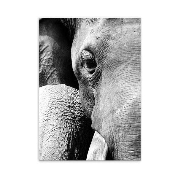 LaLe Living Bild Leinwanddruck mit Elefant A4 21x30cm