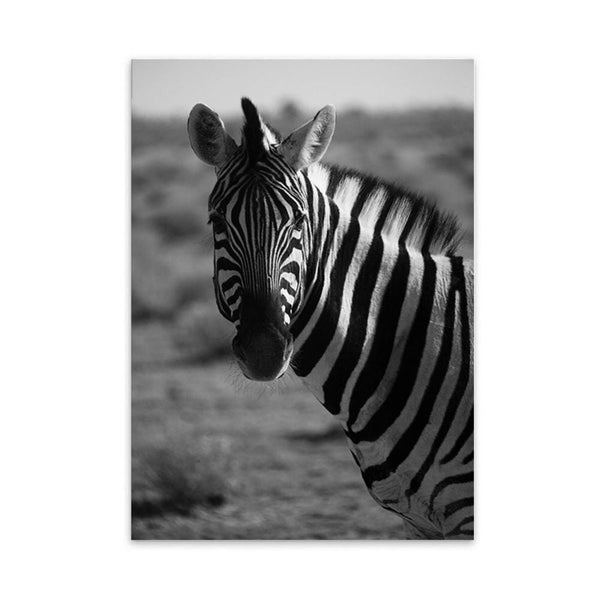 LaLe Living Bild Leinwanddruck Zebra Schwarz/Weiß A4 21x30cm